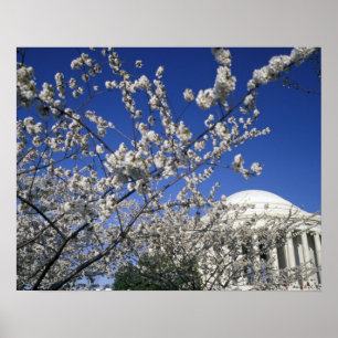 USA, Washington DC. Cherry Blossom Festival and 2 Poster