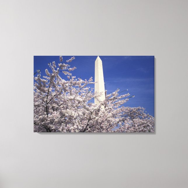 USA, Washington DC. Cherry Blossom Festival and Canvas Print (Front)