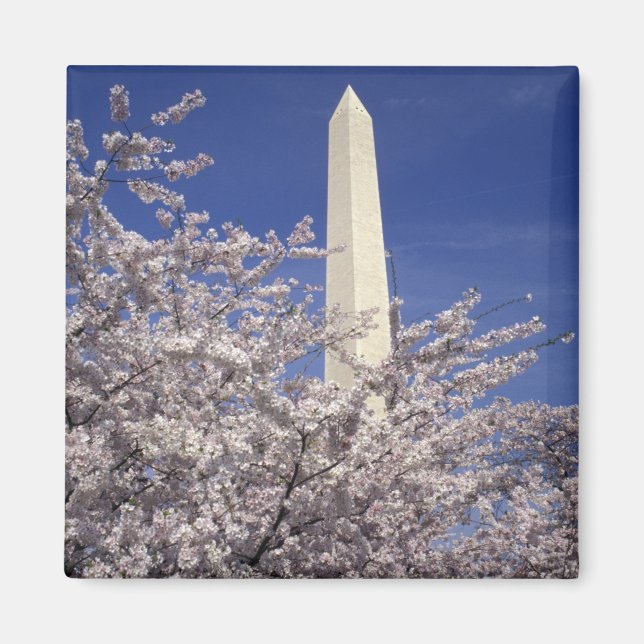 USA, Washington DC. Cherry Blossom Festival and Magnet (Front)