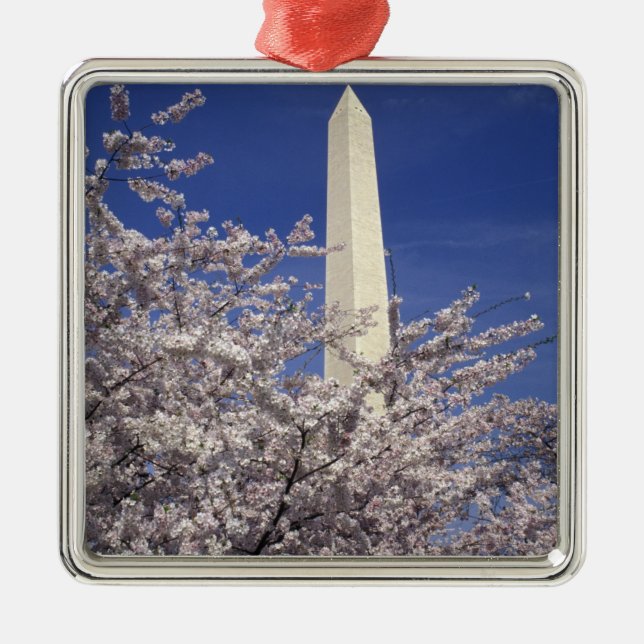 USA, Washington DC. Cherry Blossom Festival and Metal Tree Decoration (Front)