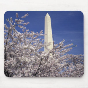 USA, Washington DC. Cherry Blossom Festival and Mouse Mat
