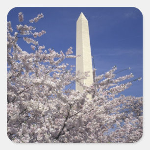 USA, Washington DC. Cherry Blossom Festival and Square Sticker