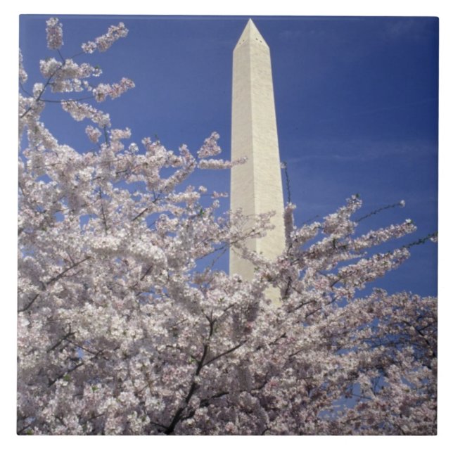 USA, Washington DC. Cherry Blossom Festival and Tile (Front)