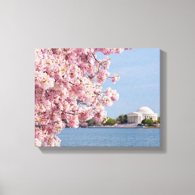USA, Washington DC, Cherry tree Canvas Print (Front)