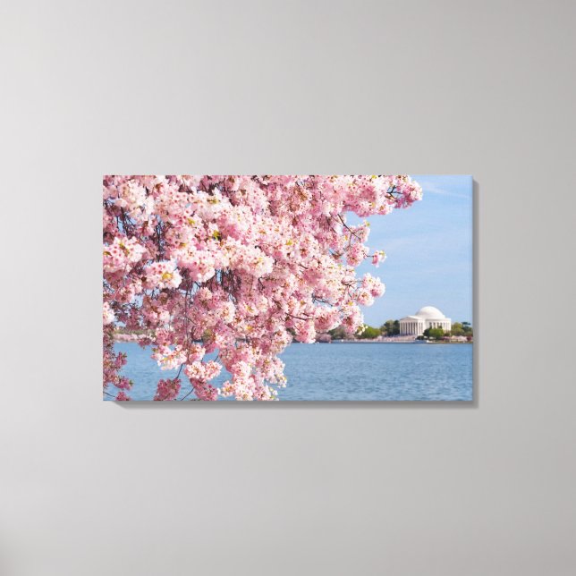 USA, Washington DC, Cherry tree Canvas Print (Front)