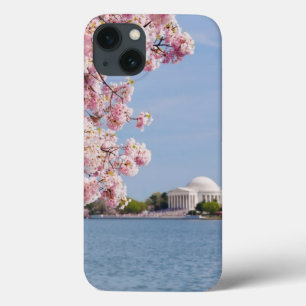 USA, Washington DC, Cherry tree iPhone 13 Case