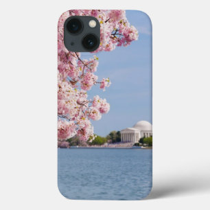 USA, Washington DC, Cherry tree iPhone 13 Case