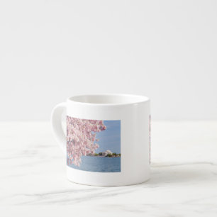 USA, Washington DC, Cherry tree Espresso Cup
