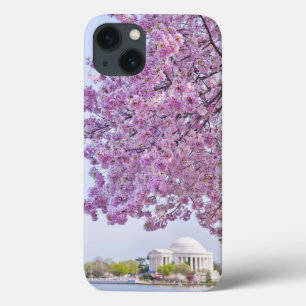 USA, Washington DC, Cherry tree in bloom iPhone 13 Case