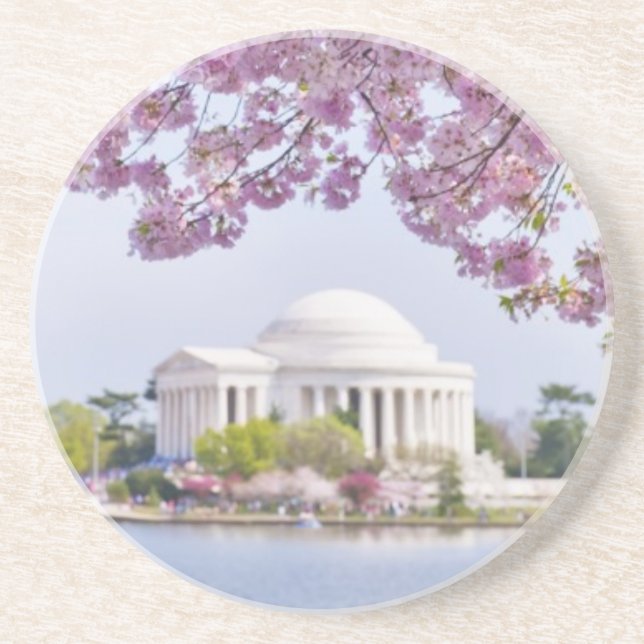 USA, Washington DC, Cherry tree in bloom Coaster (Front)