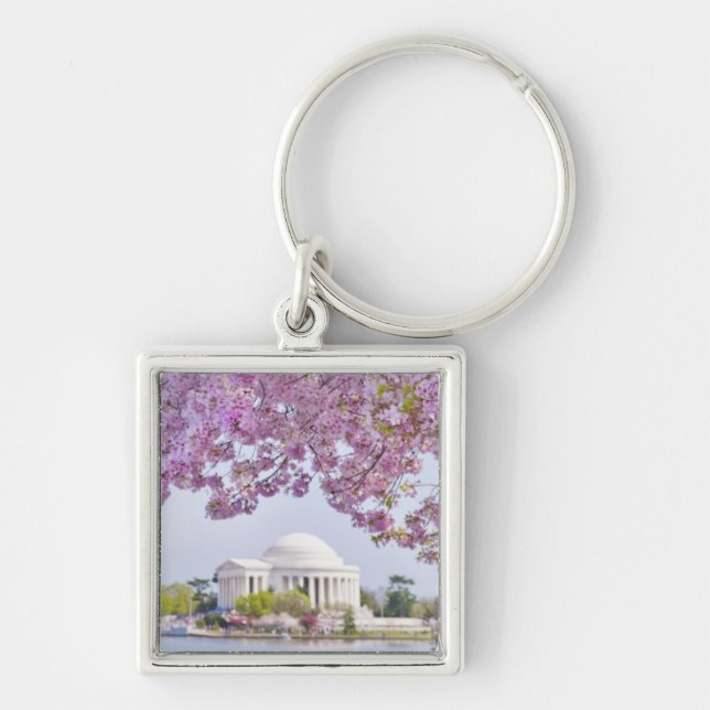 USA, Washington DC, Cherry tree in bloom Key Ring (Front)