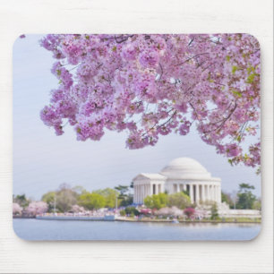 USA, Washington DC, Cherry tree in bloom Mouse Mat