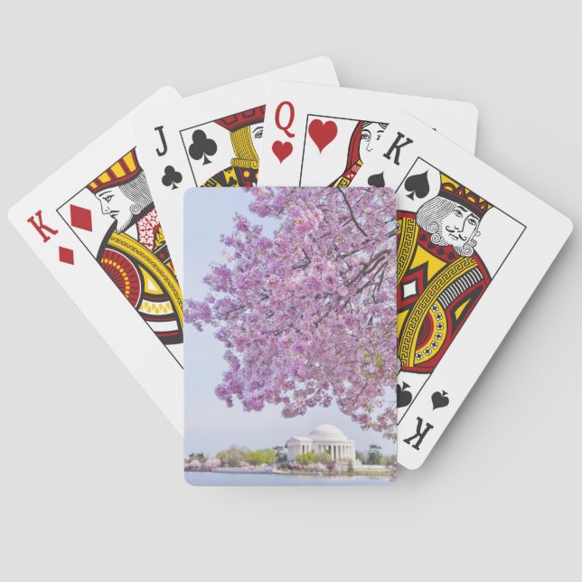 USA, Washington DC, Cherry tree in bloom Playing Cards (Back)