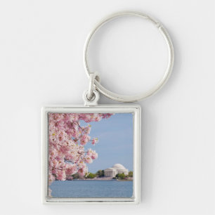 USA, Washington DC, Cherry tree Key Ring