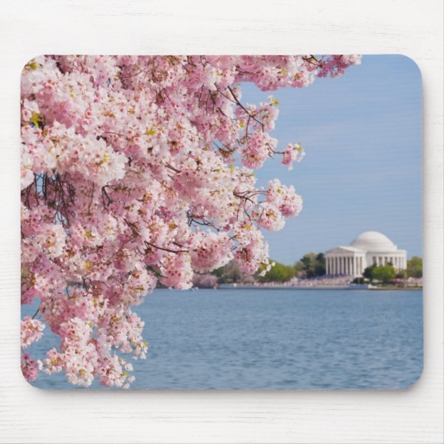 USA, Washington DC, Cherry tree Mouse Mat (Front)