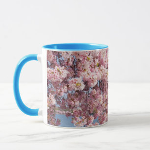 USA, Washington DC, Cherry tree Mug