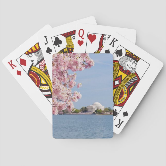 USA, Washington DC, Cherry tree Playing Cards (Back)