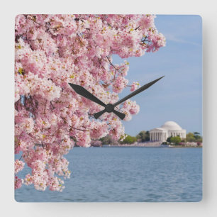 USA, Washington DC, Cherry tree Square Wall Clock