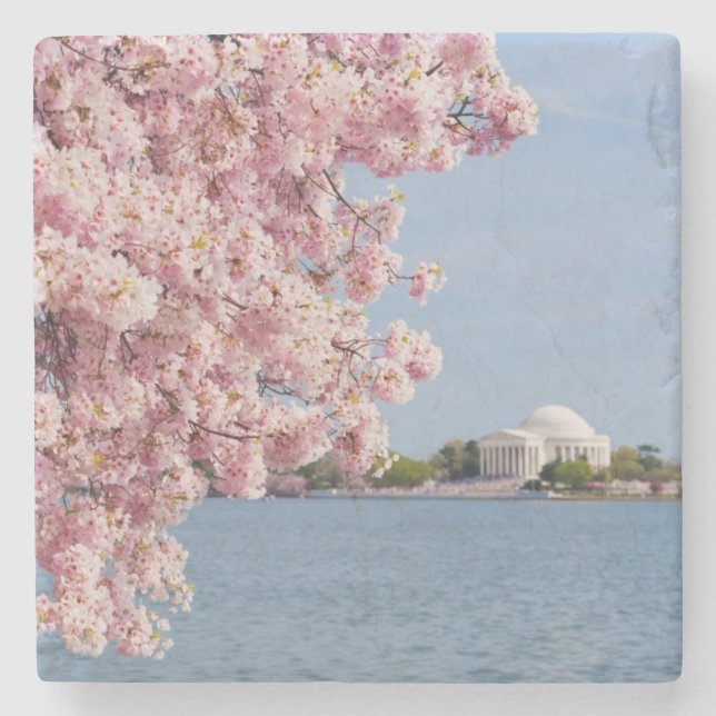 USA, Washington DC, Cherry tree Stone Coaster (Front)
