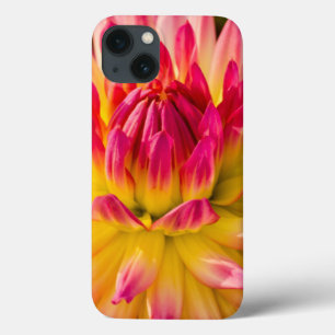 USA, Washington. Detail Of Dahlia Flower iPhone 13 Case