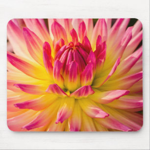 USA, Washington. Detail Of Dahlia Flower Mouse Mat