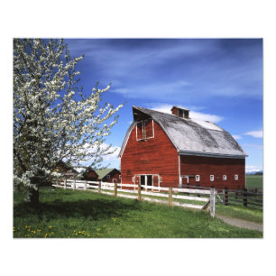 USA, Washington, Ellensburg, Barn Photo Print