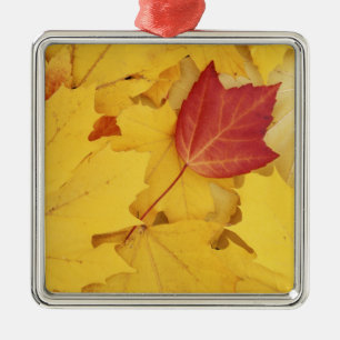 USA, Washington, Finch Arboretum, Red and Metal Tree Decoration