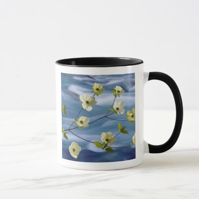 USA, Washington, Hood Canal. Pacific dogwood Mug (Right)