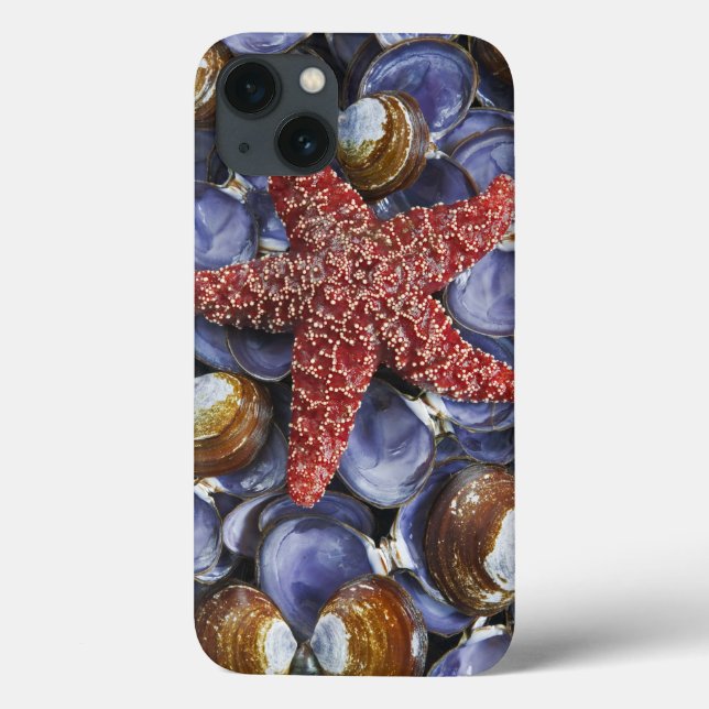 USA, Washington, Hood Canal, Seabeck. Close-up Case-Mate iPhone Case (Back)