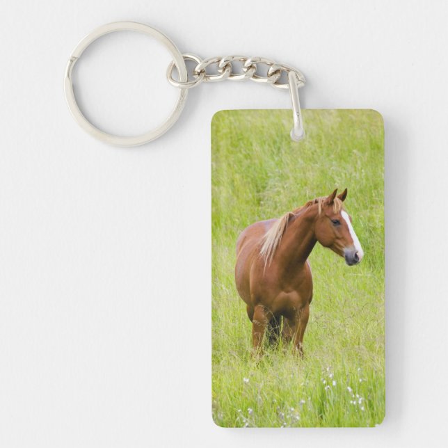 USA, Washington, Horse in Spring Field, Key Ring (Front)