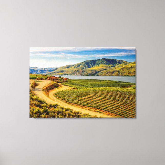 USA, Washington, Lake Chelan. Benson Vineyards Canvas Print (Front)