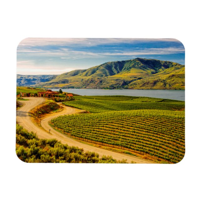 USA, Washington, Lake Chelan. Benson Vineyards Magnet (Horizontal)