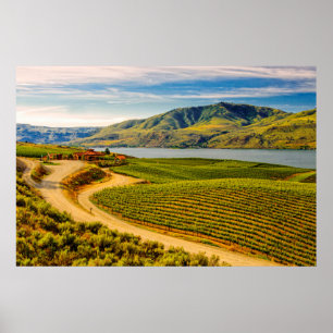 USA, Washington, Lake Chelan. Benson Vineyards Poster