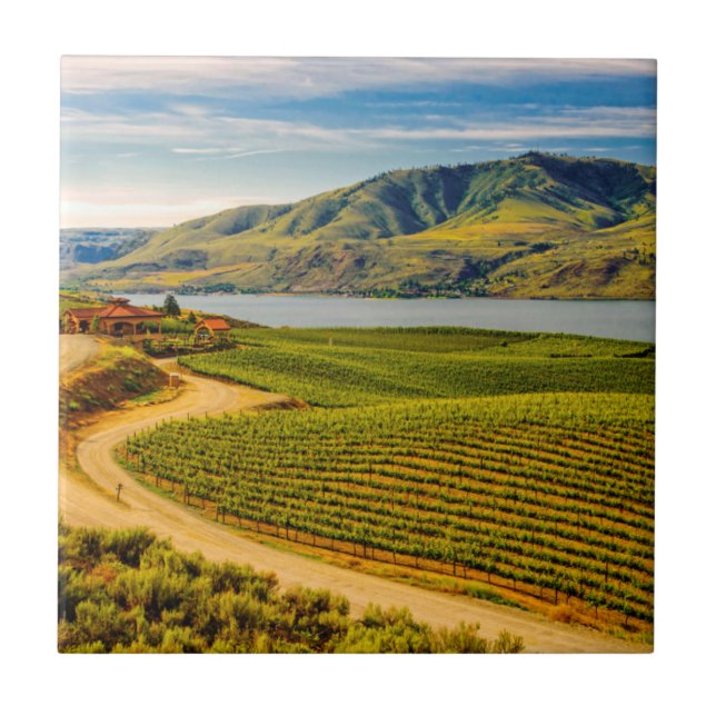 USA, Washington, Lake Chelan. Benson Vineyards Tile (Front)