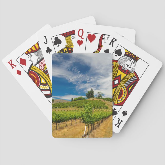USA, Washington, Lake Chelan. Vineyard 3 Playing Cards (Back)