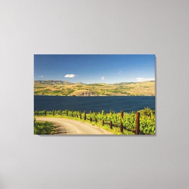 USA, Washington, Lake Chelan. Vineyard Canvas Print (Front)
