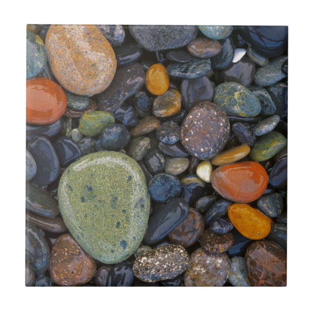USA, Washington, Lopez Island, Agate Beach Tile (Front)