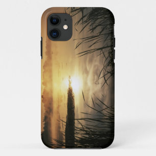 USA, Washington, Lopez Island, Morning fog on iPhone 11 Case