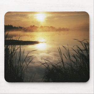 USA, Washington, Lopez Island, Morning fog on Mouse Mat