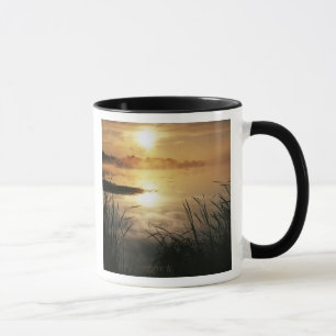 USA, Washington, Lopez Island, Morning fog on Mug