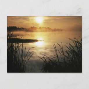 USA, Washington, Lopez Island, Morning fog on Postcard
