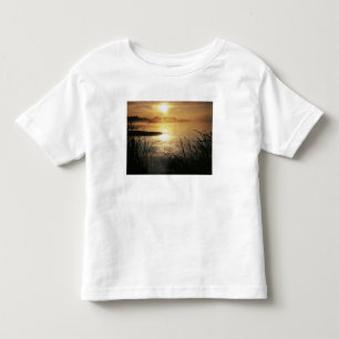 USA, Washington, Lopez Island, Morning fog on Toddler T-Shirt
