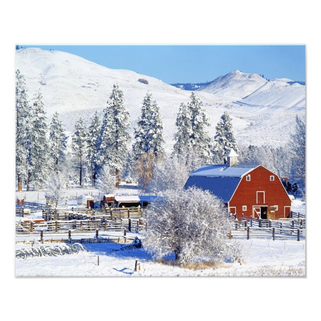 USA, Washington, Methow Valley, Barns in Photo Print (Front)