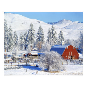 USA, Washington, Methow Valley, Barns in Photo Print