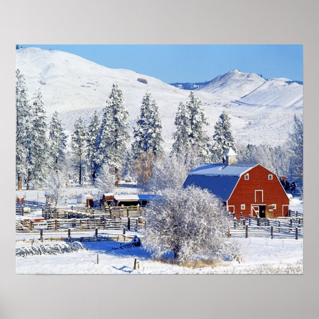 USA, Washington, Methow Valley, Barns in Poster (Front)
