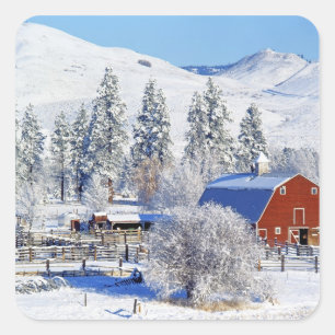USA, Washington, Methow Valley, Barns in Square Sticker