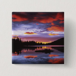 USA, Washington, Mt. Rainier National Park, 15 Cm Square Badge