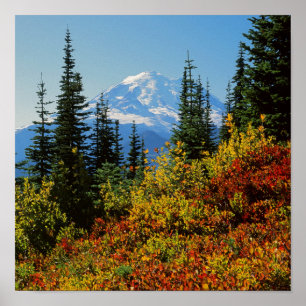 USA, Washington, Mt. Rainier National Park 2 Poster