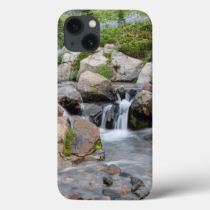 USA, Washington, Mt. Rainier National Park 3 iPhone 13 Case