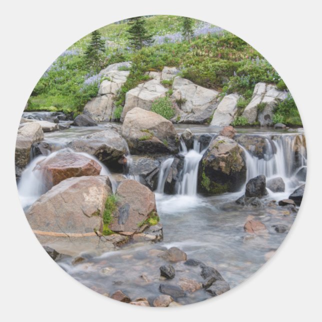 USA, Washington, Mt. Rainier National Park 3 Classic Round Sticker (Front)